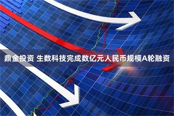 鼎金投资 生数科技完成数亿元人民币规模A轮融资