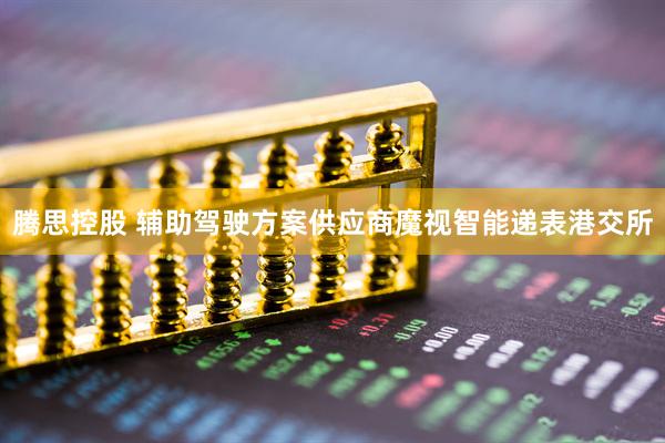腾思控股 辅助驾驶方案供应商魔视智能递表港交所