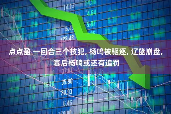 点点盈 一回合三个技犯, 杨鸣被驱逐, 辽篮崩盘, 赛后杨鸣或还有追罚