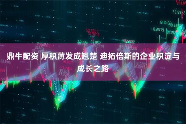 鼎牛配资 厚积薄发成翘楚 迪拓倍斯的企业积淀与成长之路